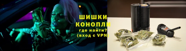 дмт Ладушкин