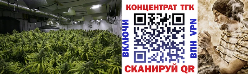 как найти наркотики  Талица  ТГК гашишное масло 