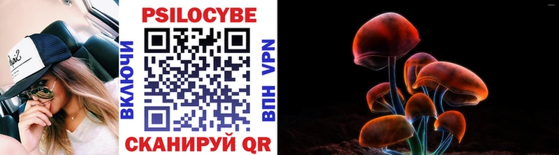 купить наркоту  Талица  Псилоцибиновые грибы MAGIC MUSHROOMS 
